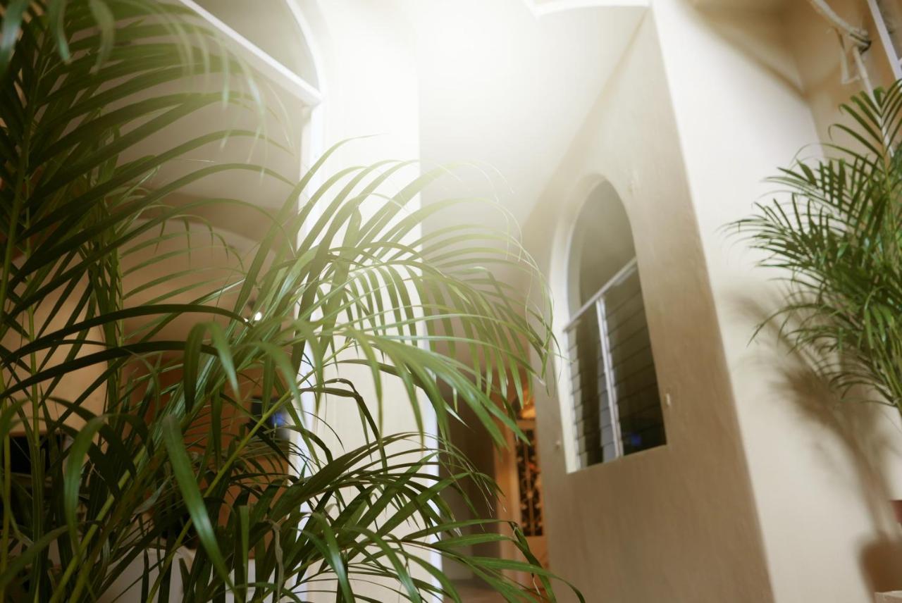Albergue Tequilita & Suites Playa del Carmen