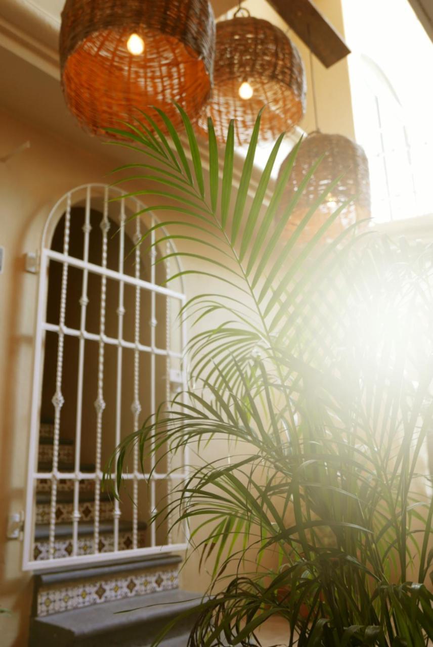 Albergue Tequilita & Suites