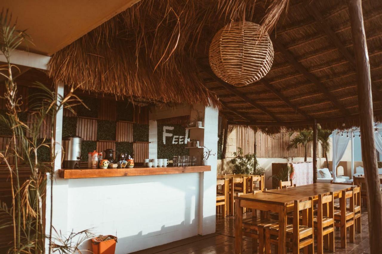 Albergue Tequilita & Suites